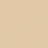 Ταπετσαρία Τοίχου Styleguide Colours 2024 A.S. Création «Uni, Beige, Gold, Metallic» 353160