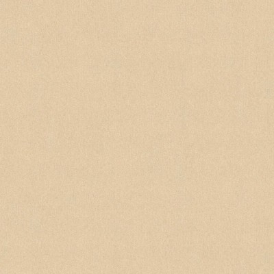 Ταπετσαρία Τοίχου Styleguide Colours 2024 A.S. Création «Uni, Beige, Gold, Metallic» 353160