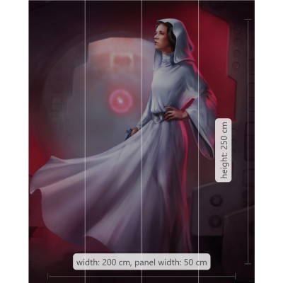 Φωτοταπετσαρία Τοίχου KOMAR "Star Wars Classic Leia" σειρά "DISNEY MARVEL" 200x250cm DX4-046