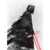 Φωτοταπετσαρία Τοίχου KOMAR "Star Wars Kylo Vader Shadow" σειρά "DISNEY MARVEL" 200x280cm DX4-074