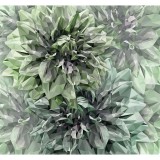 Φωτοταπετσαρία Τοίχου KOMAR "Emerald Flowers" σειρά "ΙΝΚ" 300x280cm INX6-036