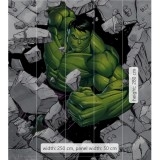 Φωτοταπετσαρία Τοίχου KOMAR "Hulk Breaker" σειρά "INTO ADVENTURE" 250x280cm IADX5-060