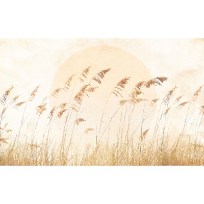 Φωτοταπετσαρία Τοίχου KOMAR "Dune Grass" σειρά "Le Jardin" 400x250cm LJX8-063