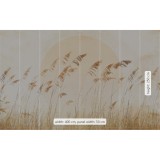 Φωτοταπετσαρία Τοίχου KOMAR "Dune Grass" σειρά "Le Jardin" 400x250cm LJX8-063