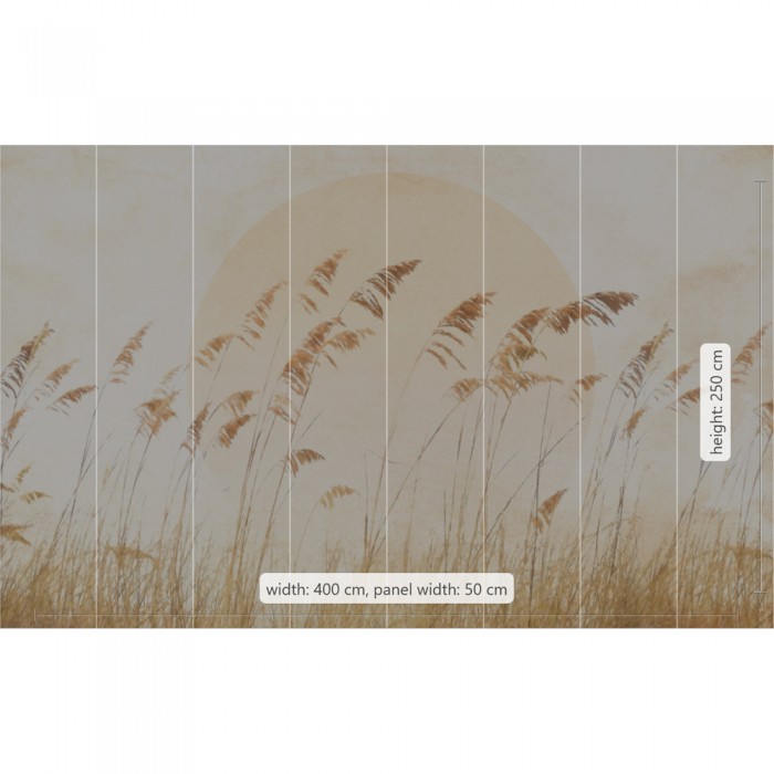 Φωτοταπετσαρία Τοίχου KOMAR "Dune Grass" σειρά "Le Jardin" 400x250cm LJX8-063