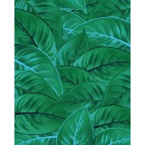 Φωτοταπετσαρία Τοίχου KOMAR "Jungle Leaves" σειρά "PURE BOUTIQUE" 200x250cm P044-VD2