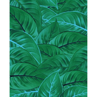 Φωτοταπετσαρία Τοίχου KOMAR "Jungle Leaves" σειρά "PURE BOUTIQUE" 200x250cm P044-VD2