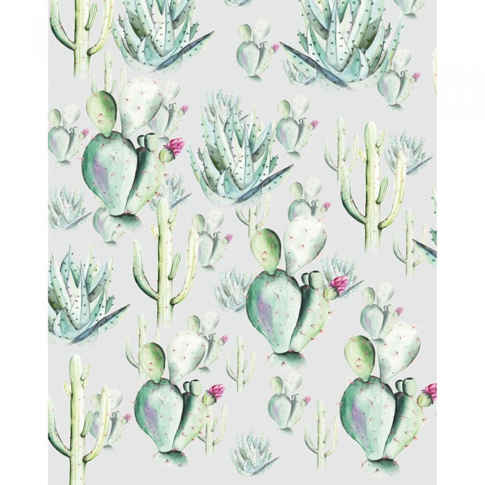 Φωτοταπετσαρία Τοίχου KOMAR "Cactus Grey" σειρά "PURE BOUTIQUE" 200x250cm P045B-VD2