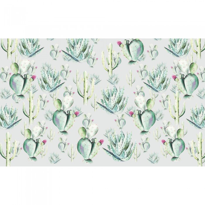 Φωτοταπετσαρία Τοίχου KOMAR "Cactus Grey" σειρά "PURE BOUTIQUE" 400x250cm P045B-VD4