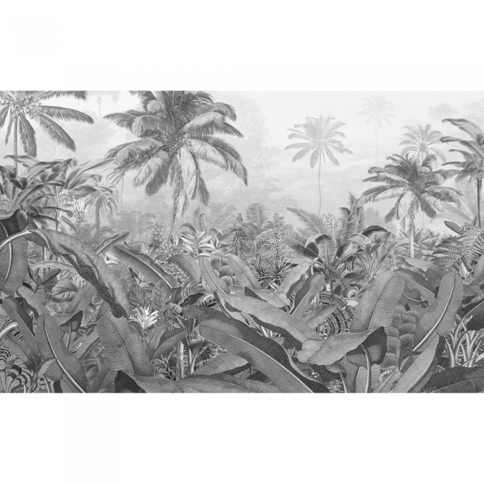 Φωτοταπετσαρία Τοίχου KOMAR  "Amazonia Black and White" σειρά "PURE" 400x250cm P013-VD4