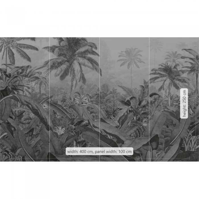 Φωτοταπετσαρία Τοίχου KOMAR  "Amazonia Black and White" σειρά "PURE" 400x250cm P013-VD4