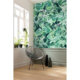 Φωτοταπετσαρία Τοίχου KOMAR "Evergreen" σειρά "PURE BOUTIQUE" 200x250cm P023-VD2