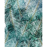 Φωτοταπετσαρία Τοίχου KOMAR "Palm Canopy" σειρά "PURE BOUTIQUE" 200x250cm P025-VD2