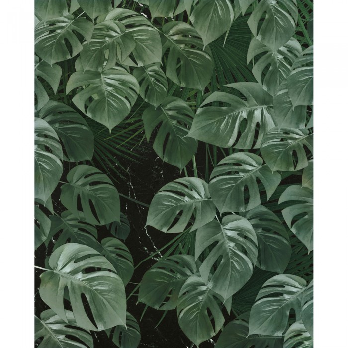 Φωτοταπετσαρία Τοίχου KOMAR "Monstera on Marble" σειρά "PURE BOUTIQUE" 200x250cm P035-VD2