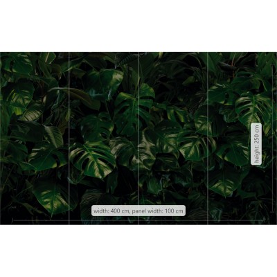 Φωτοταπετσαρία Τοίχου KOMAR  "Tropical Wall" σειρά "PURE" 400x250cm P333-VD4