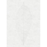 Φωτοταπετσαρία Τοίχου KOMAR "Decent Leaf" σειρά "RAW" 200x280cm R2-012