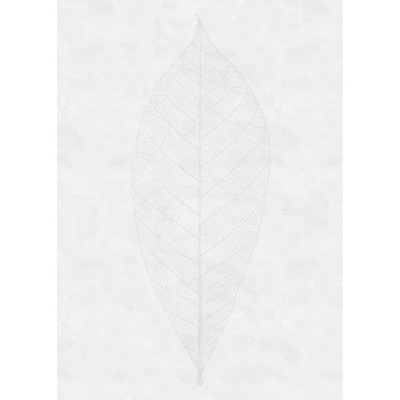 Φωτοταπετσαρία Τοίχου KOMAR "Decent Leaf" σειρά "RAW" 200x280cm R2-012