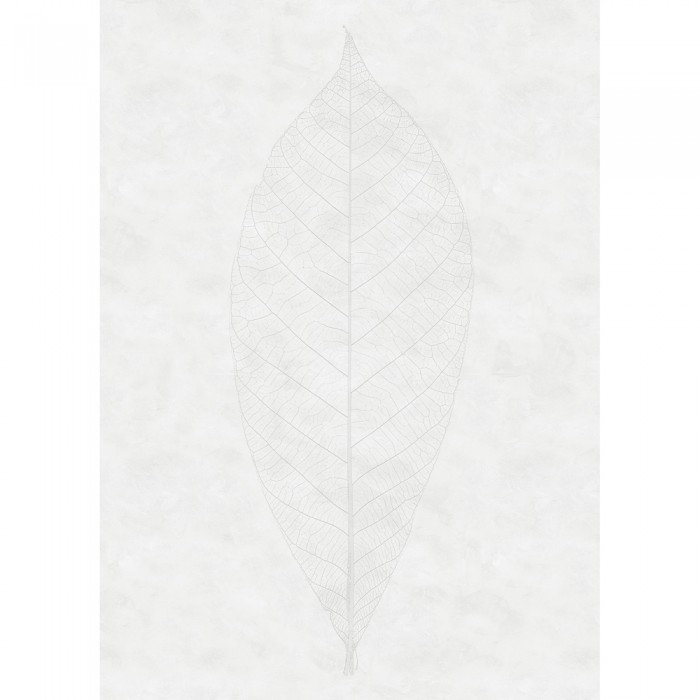 Φωτοταπετσαρία Τοίχου KOMAR "Decent Leaf" σειρά "RAW" 200x280cm R2-012