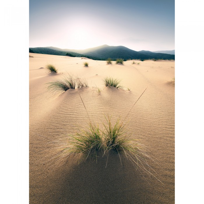 Φωτοταπετσαρία Τοίχου KOMAR "Vivid Dunes" σειρά "STEFAN HEFELE Ed. 2" 200x280cm SHX4-091