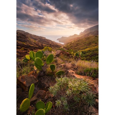 Φωτοταπετσαρία Τοίχου KOMAR "Warmes Licht" σειρά "STEFAN HEFELE Ed. 2" 200x280cm SHX4-092