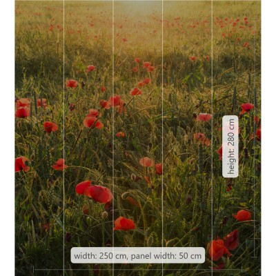 Φωτοταπετσαρία Τοίχου KOMAR "Poppy World" σειρά "STEFAN HEFELE Ed. 2" 250x280cm SHX5-071