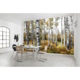 Φωτοταπετσαρία Τοίχου KOMAR "Colorful Aspenwoods" σειρά "STEFAN HEFELE Ed. 2" 450x280cm SHX9-015