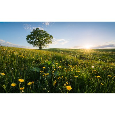 Φωτοταπετσαρία Τοίχου KOMAR "Frühling auf dem Land" σειρά "STEFAN HEFELE Ed. 2" 450x280cm SHX9-034