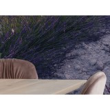 Φωτοταπετσαρία Τοίχου KOMAR "Lavender Dream" σειρά "STEFAN HEFELE Ed. 2" 450x280cm SHX9-052