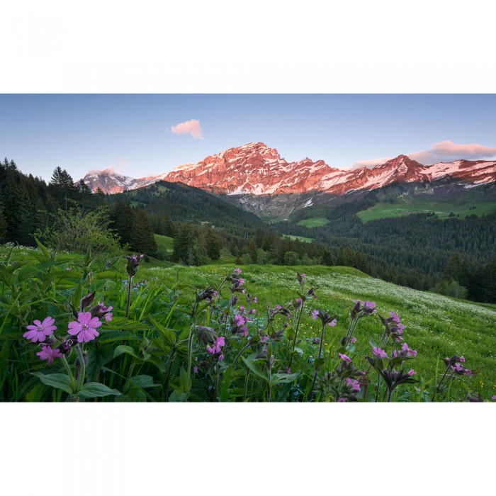 Φωτοταπετσαρία Τοίχου KOMAR "Picturesque Switzerland" σειρά "STEFAN HEFELE Ed. 2" 450x280cm SHX9-069