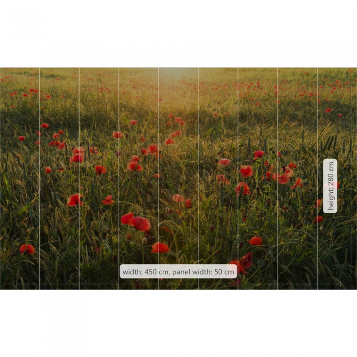 Φωτοταπετσαρία Τοίχου KOMAR "Poppy World I" σειρά "STEFAN HEFELE Ed. 2" 450x280cm SHX9-071