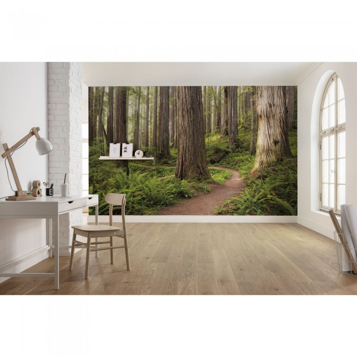 Φωτοταπετσαρία Τοίχου KOMAR "Redwood Trail" σειρά "STEFAN HEFELE Ed. 2" 450x280cm SHX9-077