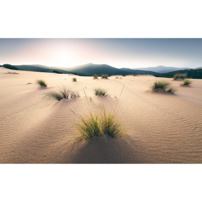 Φωτοταπετσαρία Τοίχου KOMAR "Vivid Dunes" σειρά "STEFAN HEFELE Ed. 2" 450x280cm SHX9-091