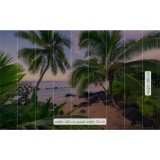 Φωτοταπετσαρία Τοίχου KOMAR "Hawaiian Dreams " σειρά "STEFAN HEFELE Ed. 2" 450x280cm SHX9-116