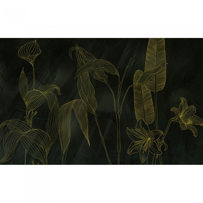 Φωτοταπετσαρία τοίχου KOMAR IF4-089 "Darkest Green" σειρά Infinity 2 400 x 250 cm