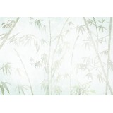 Φωτοταπετσαρία - Asian Jungle