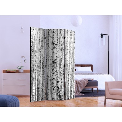 Διαχωριστικό δωματίου - Birch forest