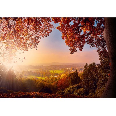 Φωτοταπετσαρία - Autumn delight - sunny landscape with countryside surrounded by trees and fields