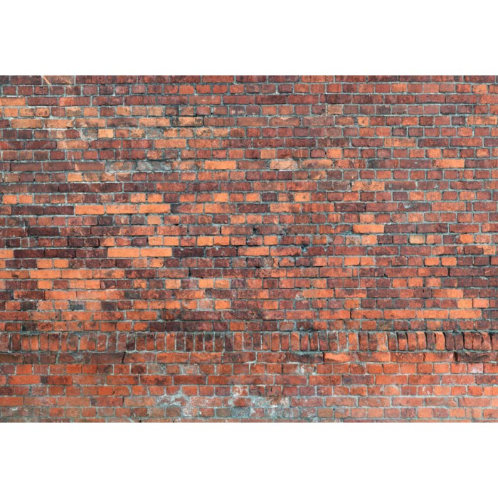 Φωτοταπετσαρία - Vintage Wall (Red Brick)