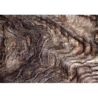 Φωτοταπετσαρία - Signs of the times - an abstract background with the wrinkled bark of an old tree