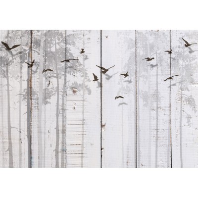 Φωτοταπετσαρία - Minimalist motif - black birds on a white background with wood texture