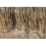 Φωτοταπετσαρία - Dry leaves - landscape of tall grasses in boho style with paint patterns