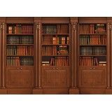 Φωτοταπετσαρία - Elegant Library