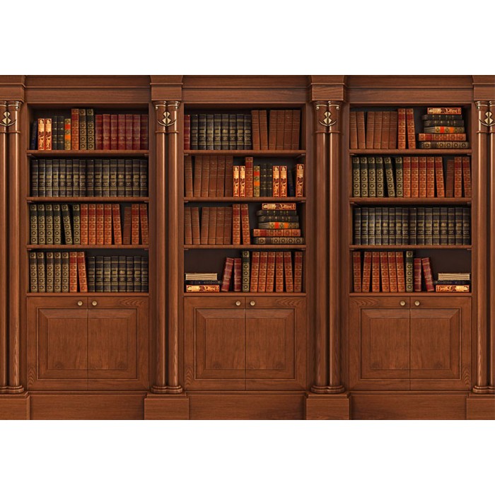 Φωτοταπετσαρία - Elegant Library